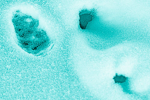 Footprint Eye Snow Face Atop Rock Surface (Cyan Shade)