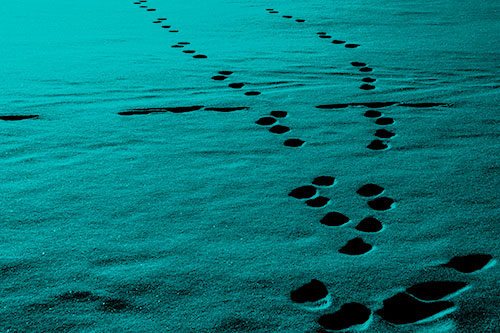 Footprint Trail Across Snow Covered Lake (Cyan Shade Photo)