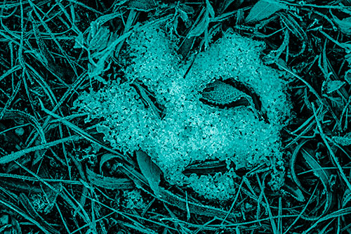 Frozen Leaf Eyed Snow Face Among Frosty Grass (Cyan Shade)