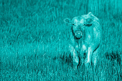 Grass Chewing Cow Spots Intruder (Cyan Shade)