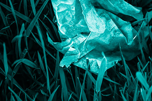 Grease Stained Demon Faced Taco Bell Wrapper (Cyan Shade)