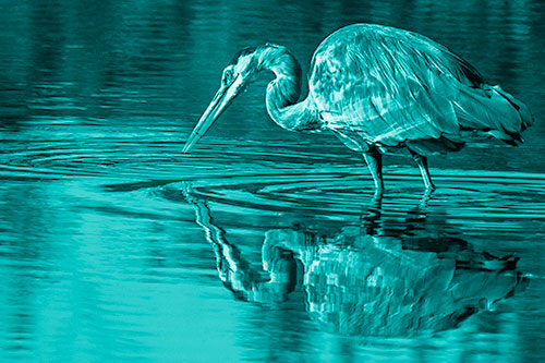 Great Blue Heron Snatches Pond Fish (Cyan Shade Photo)