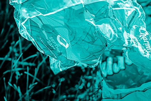 Growling Plastic Charmin Bag Among Grass (Cyan Shade)