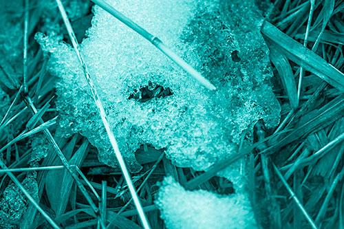 Half Melted Ice Face Smirking Among Reed Grass (Cyan Shade Photo)