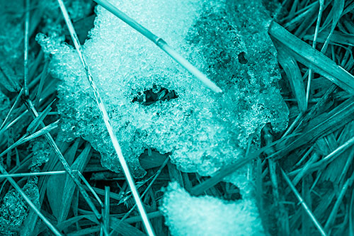 Half Melted Ice Face Smirking Among Reed Grass (Cyan Shade)