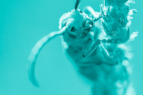 Happy Milkweed Beetle Climbing Fuzzy Plant (Cyan Shade)