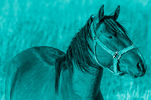 Horse Enjoying Grassy Dinner Meal (Cyan Shade Photo)