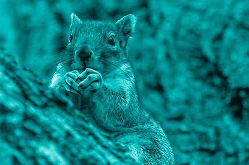 Hungry Squirrel Feasting Among Sloping Tree Branch (Cyan Shade)