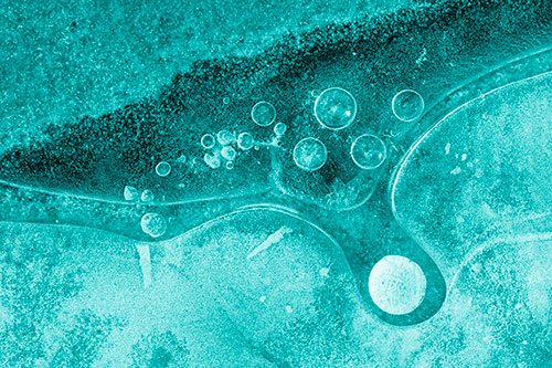 Ice Bubbles Among Frozen Soil Crevice (Cyan Shade)