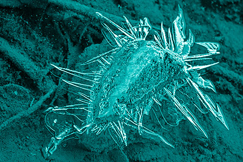 Jagged Spiked Ice Surrounds Water Submerged Rock (Cyan Shade)