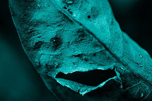 Lacerated Mouth Leaf Face Smirking Among Decay (Cyan Shade)
