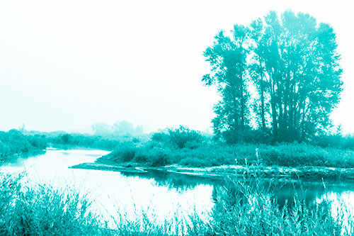 Large Foggy Trees At Edge Of River Bend (Cyan Shade Photo)
