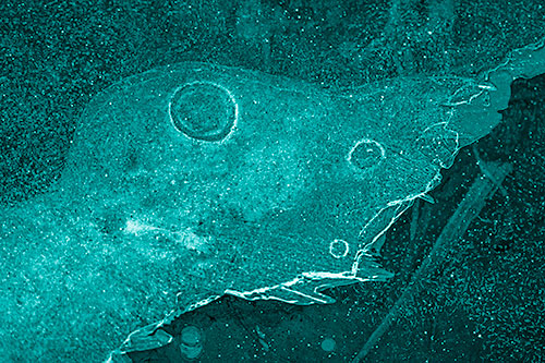Large Headed Bubble Eyed Ice Face Frozen Among River (Cyan Shade Photo)