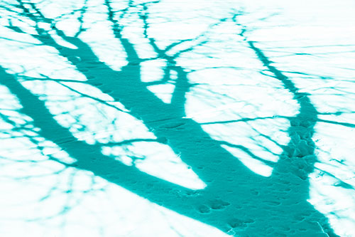 Large Jagged Tree Shadow Across Snow (Cyan Shade Photo)