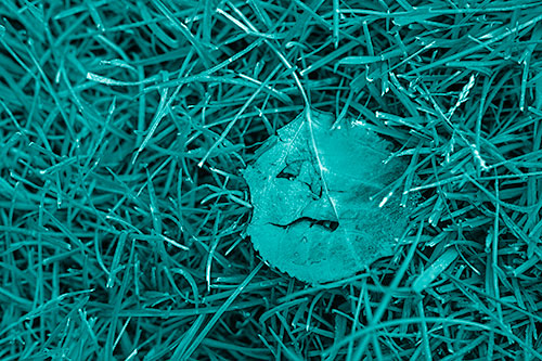 Leaf Face Smirking Among Wet Grass (Cyan Shade)