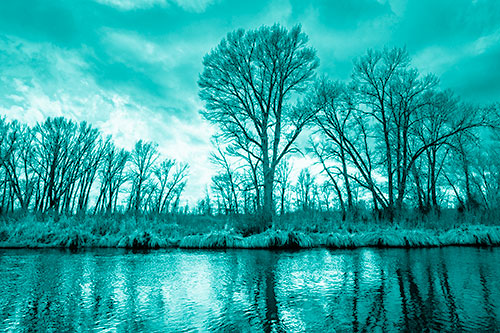 Leafless Trees Cast Reflections Along River Water (Cyan Shade Photo)