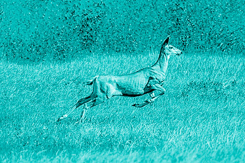 Leaping Mule Deer Running Across Grassland (Cyan Shade)