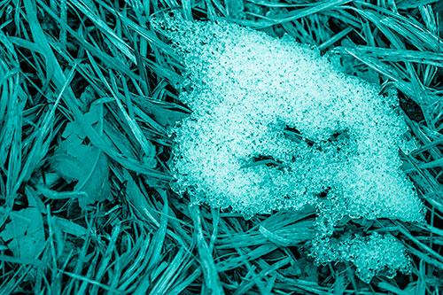 Miserable Slanted Grass Eyed Snow Face (Cyan Shade)