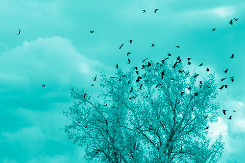 Murder Of Crows Swarm Autumn Tree (Cyan Shade)