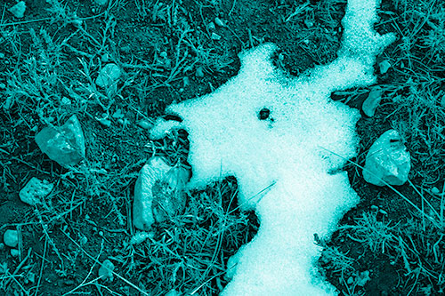 Peering Humanoid Snow Face Creature Among Rocks (Cyan Shade Photo)