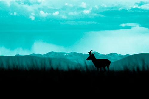 Pronghorn Silhouette Overtakes Stormy Mountain Range (Cyan Shade)