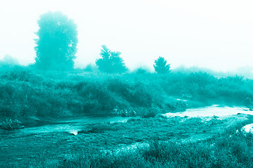 River Flowing Along Foggy Vegetation (Cyan Shade Photo)