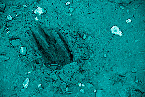 Rocks Surround Deep Mud Paw Footprint (Cyan Shade Photo)