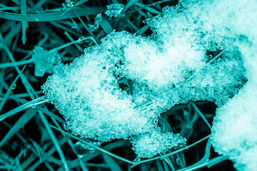 Sad Melting Grass Tangled Snow Face (Cyan Shade)