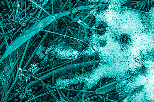 Sad Mouth Melting Ice Face Creature Among Soggy Grass (Cyan Shade Photo)