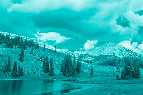 Scattered Trees Along Mountainside (Cyan Shade Photo)