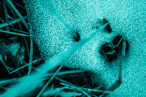 Screaming Illuminated Grass Piercing Snow Face (Cyan Shade)