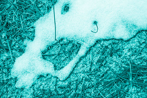 Screaming Stick Eyed Snow Face Among Grass (Cyan Shade Photo)