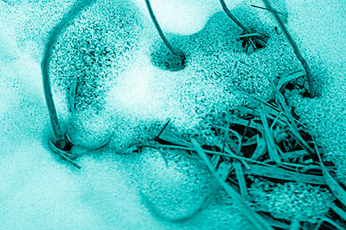 Screaming Twisted Grass Face Piercing Through Snow (Cyan Shade)