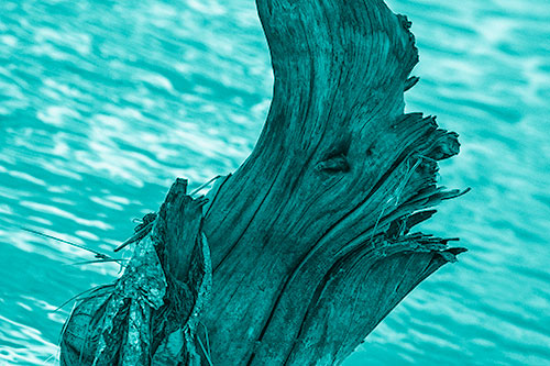 Seasick Faced Tree Log Among Flowing River (Cyan Shade Photo)