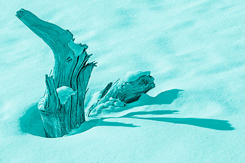 Shadow Casting Tree Trunk Waving Among Snow (Cyan Shade)