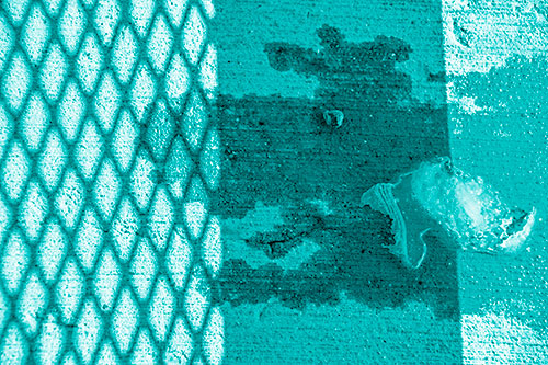 Shadow Obstructs Slobbery Pooch Faced Puddle (Cyan Shade Photo)