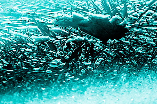 Shattered Ice Crystals Surround Water Hole (Cyan Shade Photo)