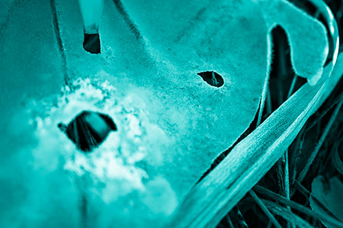 Shocked Peeling Grass Eyed Ice Face (Cyan Shade Photo)