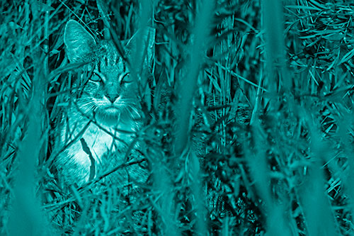 Sitting Cat Gazes Through Reed Grass (Cyan Shade)