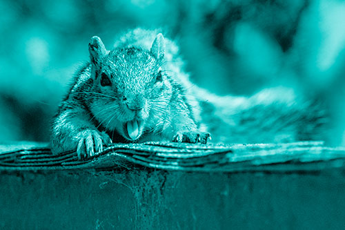Sleepy Squirrel Yawning Among Rooftop (Cyan Shade)
