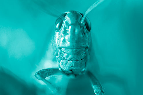 Smiling Grasshopper Enjoying Sunshine (Cyan Shade)