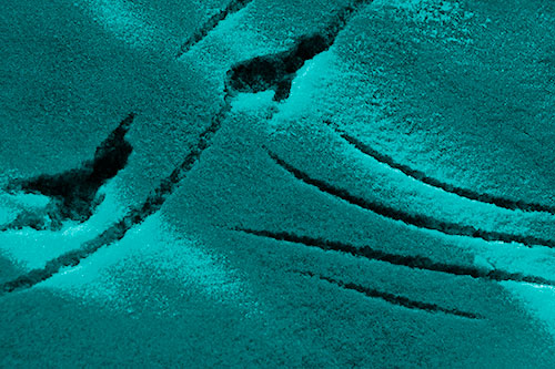 Snowy Bird Footprint Claw Marks (Cyan Shade Photo)