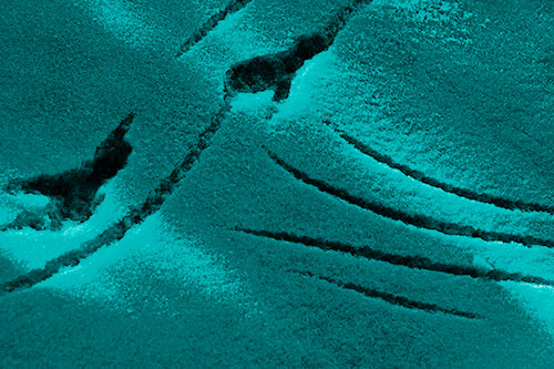 Snowy Bird Footprint Claw Marks (Cyan Shade)