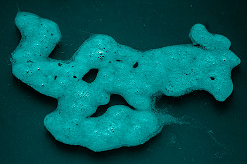 Sorrow Morphing Bubble Face Floating Above Soil (Cyan Shade)
