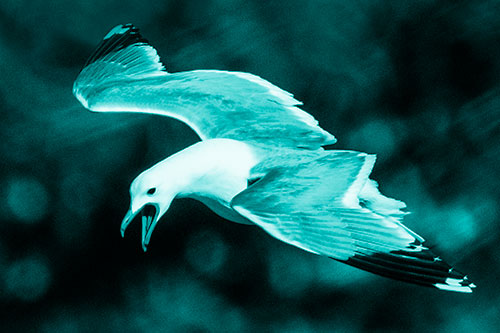 Squealing Seagull Spots Creature Among Lake Below (Cyan Shade)