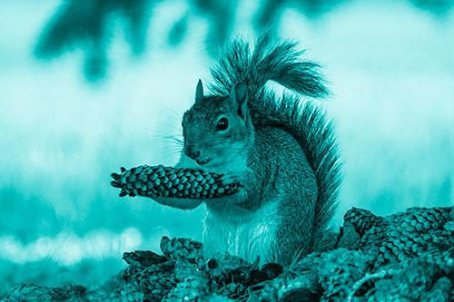 Squirrel Eating Pine Cones (Cyan Shade Photo)