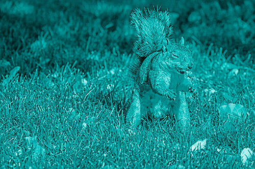 Squirrel Enjoying Breakfast Among Fallen Autumn Leaves (Cyan Shade)