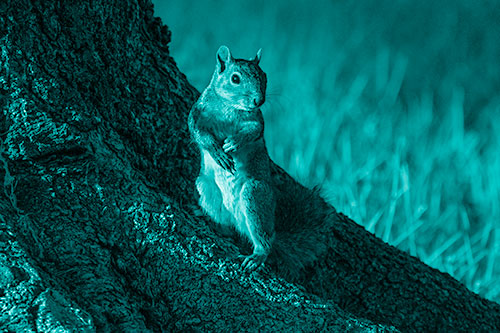 Standing Squirrel Poses Among Sloping Tree Stump (Cyan Shade)