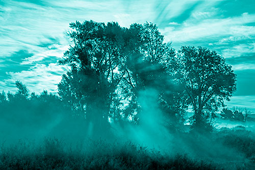Sunlight Rays Burst Through Fog Surrounded Trees (Cyan Shade Photo)