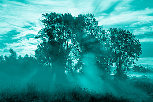 Sunlight Rays Burst Through Fog Surrounded Trees (Cyan Shade)